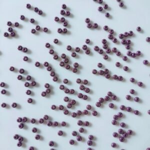 preciosa seed beads (8/0) 3mm