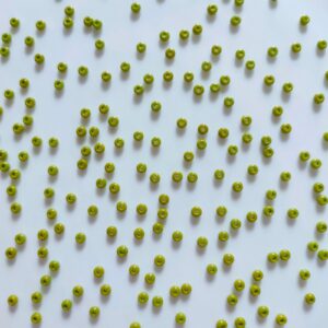 preciosa seed beads (8/0) 3mm