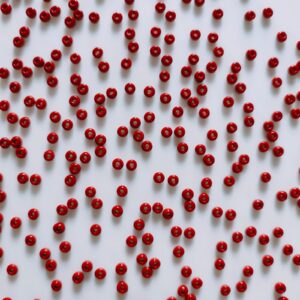 preciosa seed beads (8/0) 3mm