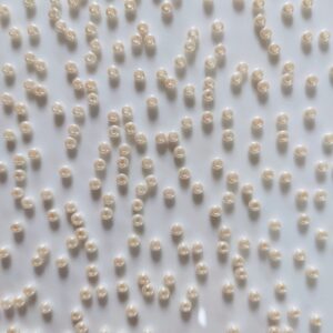 preciosa seed beads (8/0) 3mm
